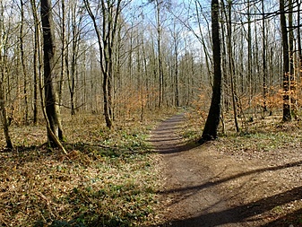 Klicke auf die Grafik für eine vergrößerte Ansicht  Name: volksdorfweg005.jpg Ansichten: 0 Größe: 457,6 KB ID: 3032139