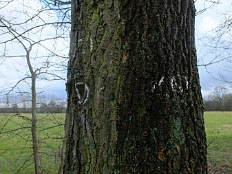 Klicke auf die Grafik für eine vergrößerte Ansicht  Name: volksdorfweg030.jpg Ansichten: 0 Größe: 338,8 KB ID: 3032140