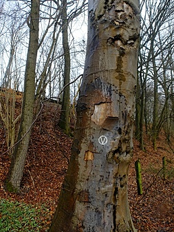 Klicke auf die Grafik für eine vergrößerte Ansicht  Name: volksdorfweg026.jpg Ansichten: 0 Größe: 426,6 KB ID: 3032143
