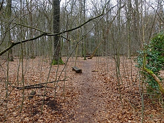 Klicke auf die Grafik für eine vergrößerte Ansicht  Name: volksdorfweg033.jpg Ansichten: 0 Größe: 441,3 KB ID: 3032145