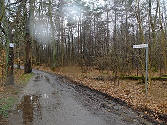 Klicke auf die Grafik für eine vergrößerte Ansicht  Name: volksdorfweg020.jpg Ansichten: 0 Größe: 411,4 KB ID: 3032146