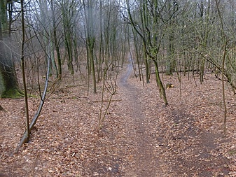 Klicke auf die Grafik für eine vergrößerte Ansicht  Name: volksdorfweg017.jpg Ansichten: 0 Größe: 418,2 KB ID: 3032147