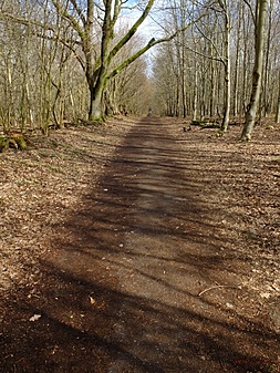 Klicke auf die Grafik für eine vergrößerte Ansicht  Name: volksdorfweg014.jpg Ansichten: 0 Größe: 425,9 KB ID: 3032149