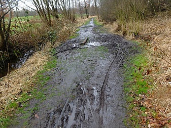 Klicke auf die Grafik für eine vergrößerte Ansicht  Name: volksdorfweg023.jpg Ansichten: 0 Größe: 415,1 KB ID: 3032150