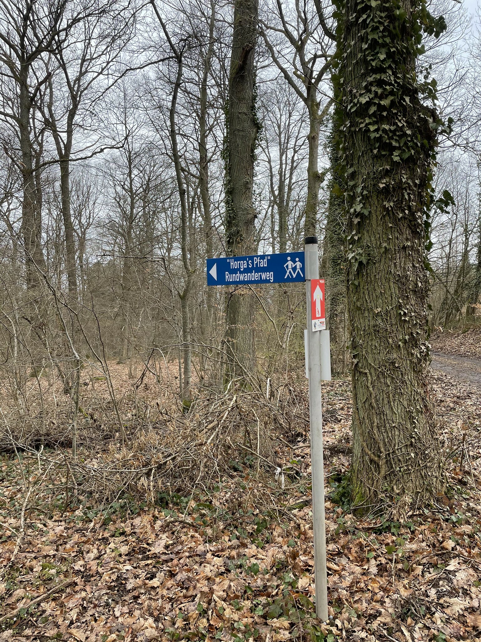 Klicke auf die Grafik für eine vergrößerte Ansicht  Name: 51045074188_96f5e5c273_k.jpg Ansichten: 0 Größe: 1,85 MB ID: 3033333