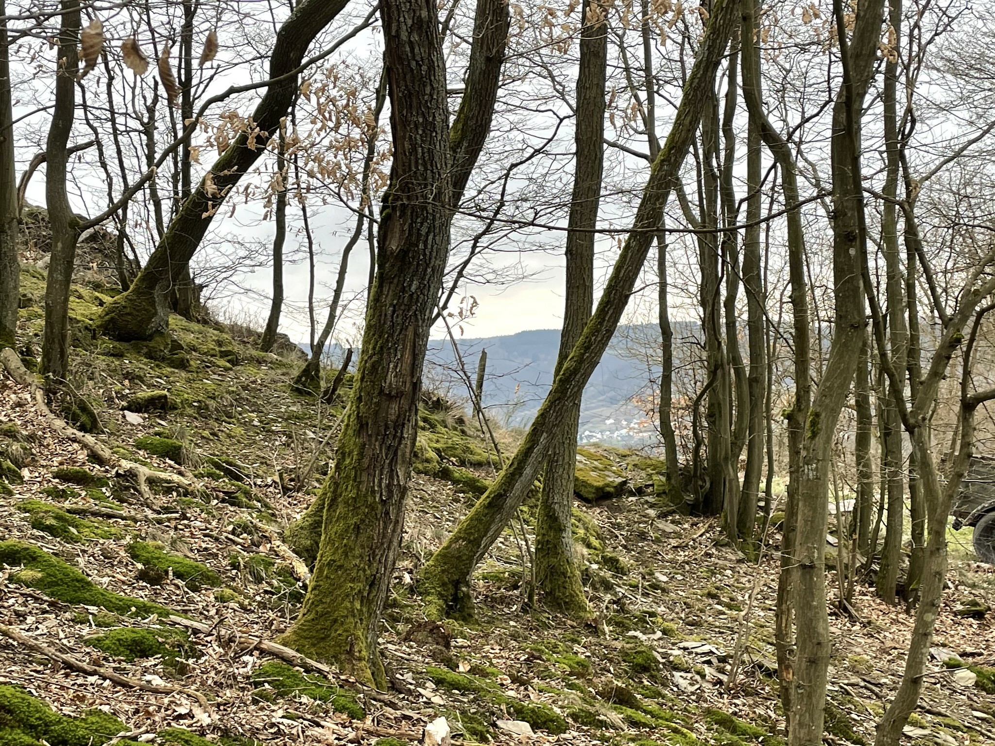 Klicke auf die Grafik für eine vergrößerte Ansicht  Name: 51005234475_f6974bc515_k.jpg Ansichten: 0 Größe: 1,35 MB ID: 3033559