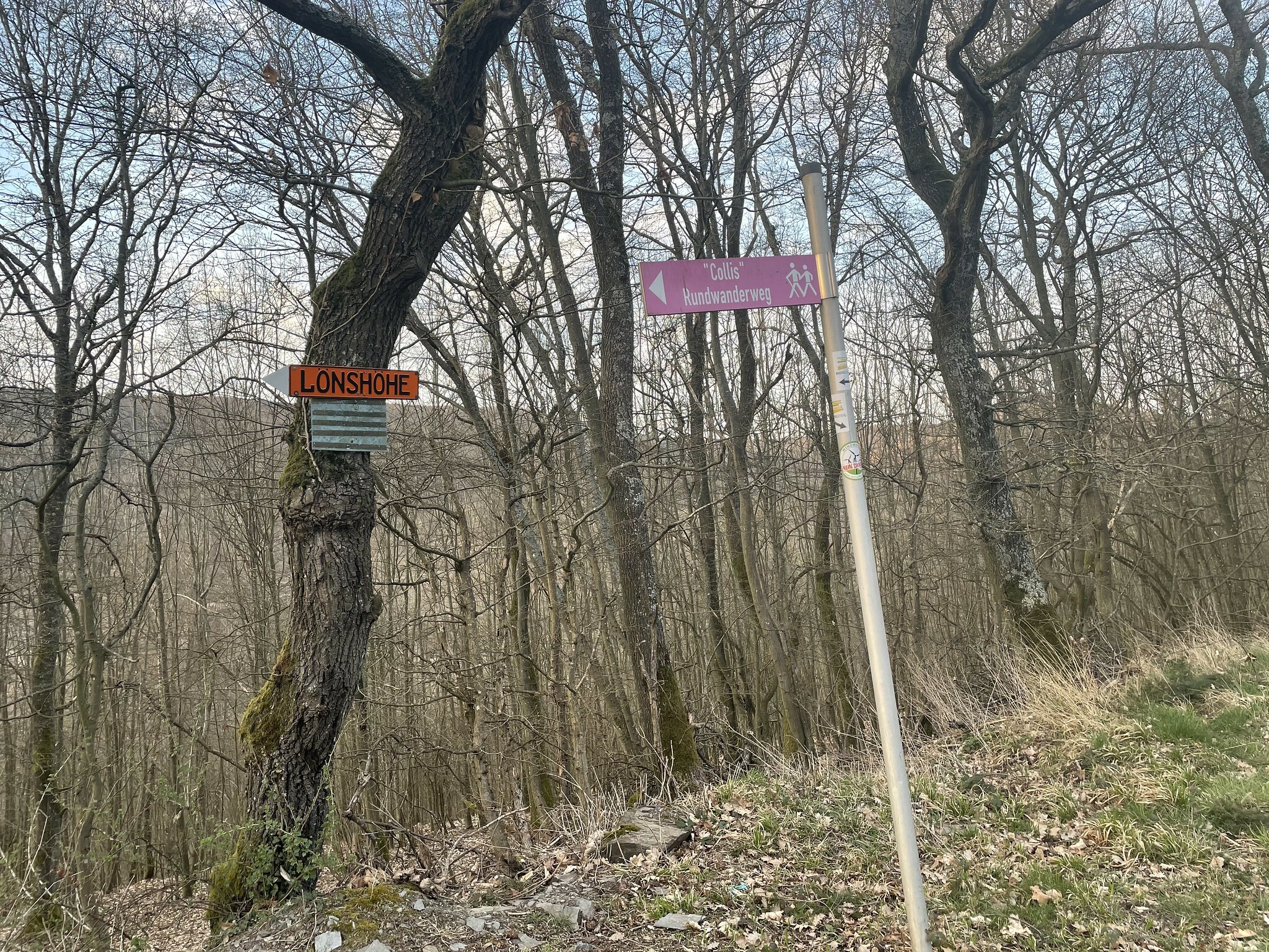 Klicke auf die Grafik für eine vergrößerte Ansicht

Name: 51074382382_d30a91cb85_k.jpg
Ansichten: 1424
Größe: 1,74 MB
ID: 3034118