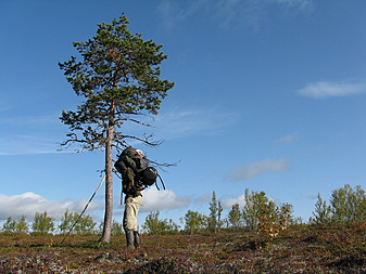 Klicke auf die Grafik für eine vergrößerte Ansicht  Name: Lappland 2008 037 (8).JPG Ansichten: 0 Größe: 3,51 MB ID: 3034352