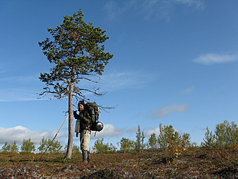 Klicke auf die Grafik für eine vergrößerte Ansicht

Name: Lappland 2008 037 (9).JPG
Ansichten: 1898
Größe: 3,51 MB
ID: 3034374