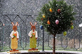 Klicke auf die Grafik für eine vergrößerte Ansicht

Name: ostern2021.jpg
Ansichten: 382
Größe: 790,0 KB
ID: 3034439