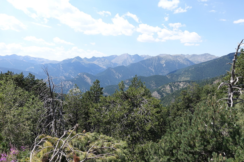 Klicke auf die Grafik für eine vergrößerte Ansicht

Name: 64-GR11-Coll d'Ordino.jpg
Ansichten: 553
Größe: 220,3 KB
ID: 3034534