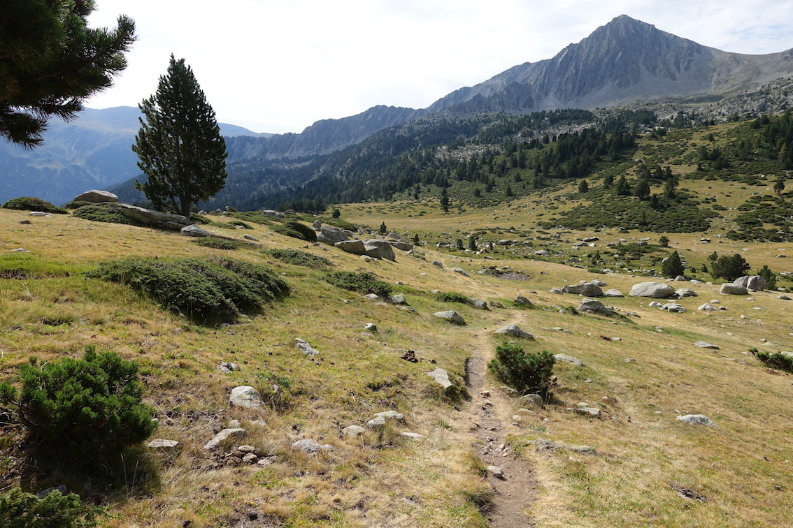 Klicke auf die Grafik für eine vergrößerte Ansicht

Name: 75-GR11-Auf zum Pla de Vallcivera.jpg
Ansichten: 512
Größe: 406,3 KB
ID: 3034555