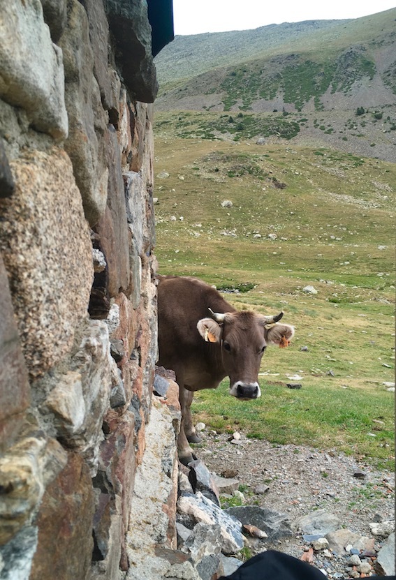 Klicke auf die Grafik für eine vergrößerte Ansicht  Name: 82-GR11-Besuch.jpg Ansichten: 0 Größe: 207,6 KB ID: 3034871