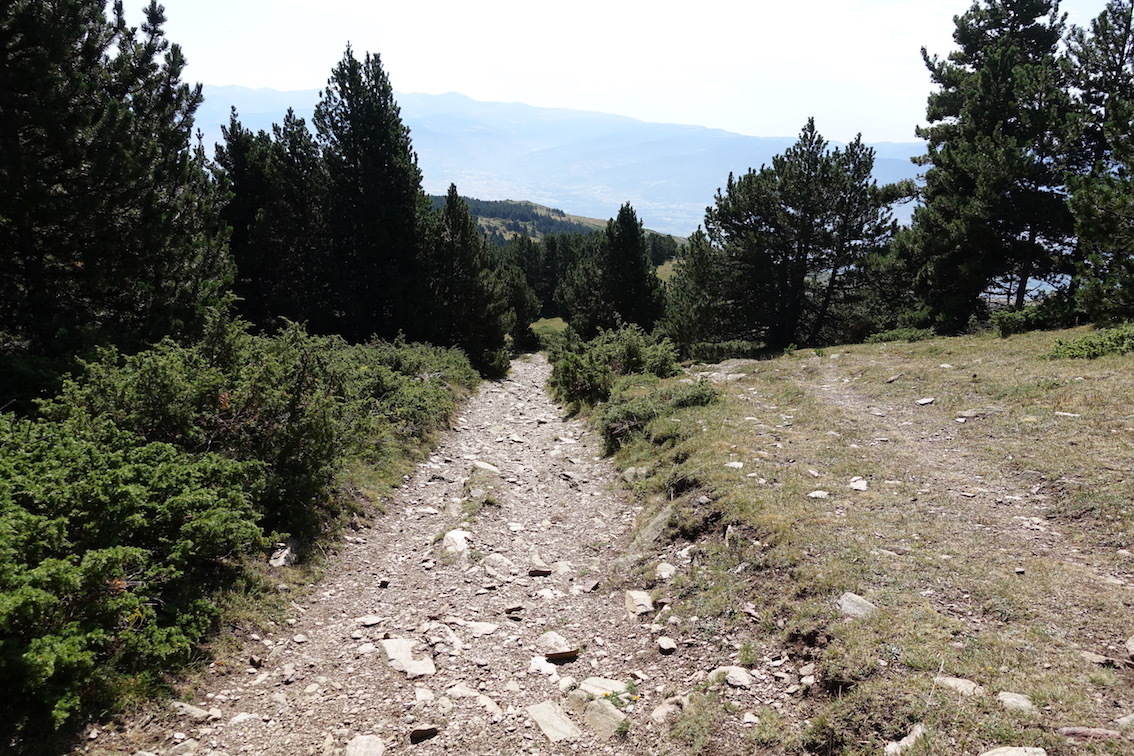 Klicke auf die Grafik für eine vergrößerte Ansicht

Name: 85-GR11-Waldweg.jpg
Ansichten: 456
Größe: 445,0 KB
ID: 3035513