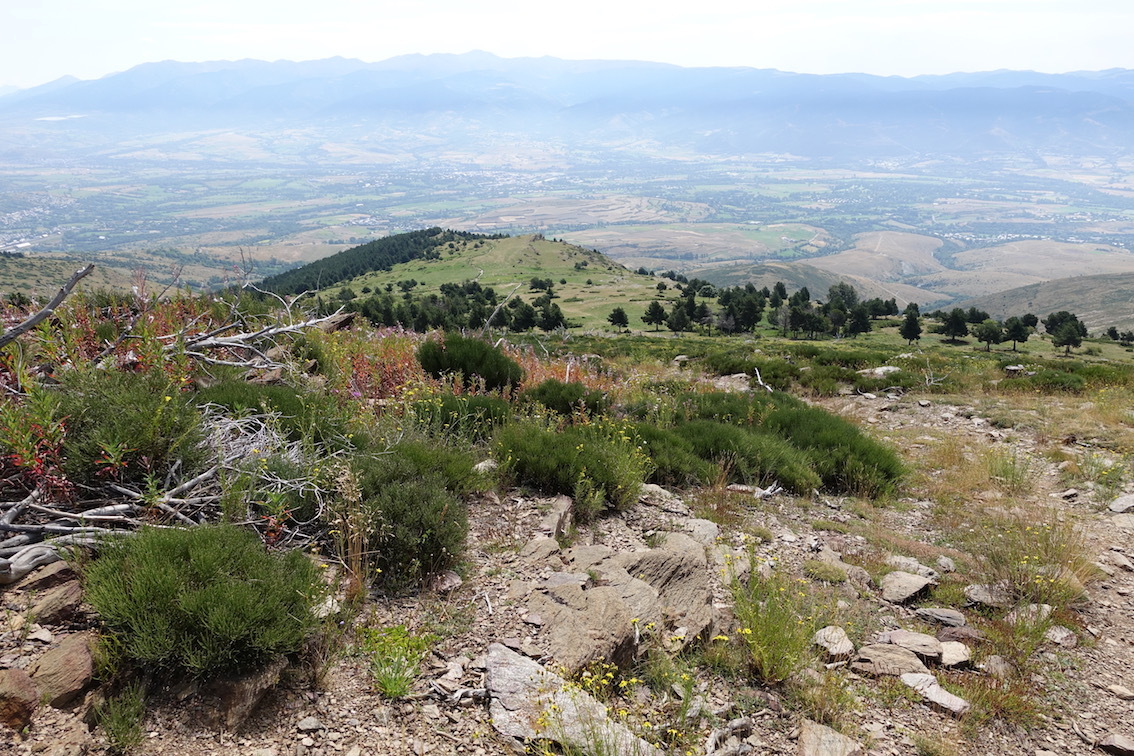 Klicke auf die Grafik für eine vergrößerte Ansicht

Name: 88-GR11-und Blick ins Vall de Cerdanya.jpg
Ansichten: 443
Größe: 419,0 KB
ID: 3035516