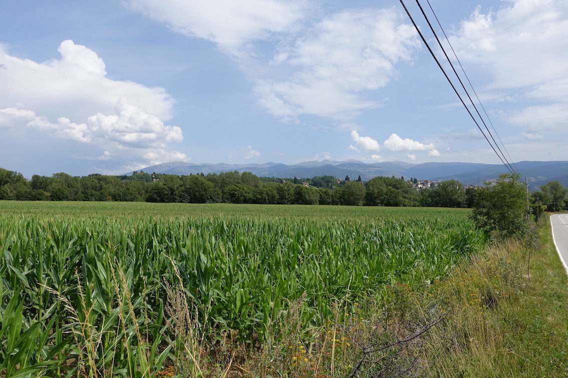 Klicke auf die Grafik für eine vergrößerte Ansicht

Name: 89-GR11-Landstraße nach Puigcerda.jpg
Ansichten: 433
Größe: 336,7 KB
ID: 3035517