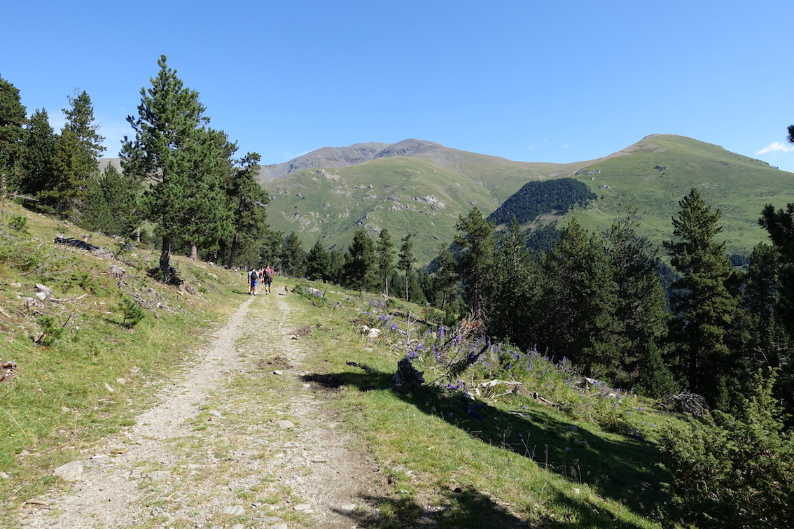 Klicke auf die Grafik für eine vergrößerte Ansicht

Name: 101-GR11-Blick auf den Puigmal.jpg
Ansichten: 391
Größe: 382,2 KB
ID: 3035810