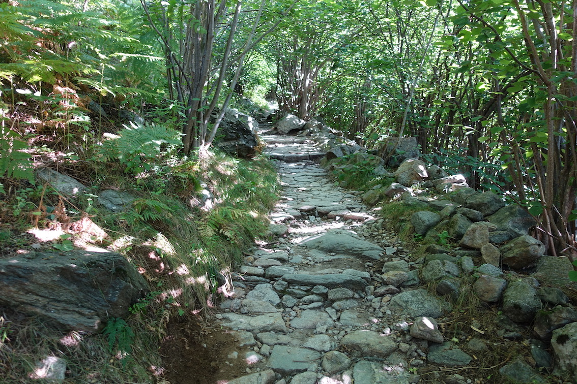 Klicke auf die Grafik für eine vergrößerte Ansicht

Name: 107-GR11-Alter Pilgerweg.jpg
Ansichten: 396
Größe: 511,4 KB
ID: 3035818