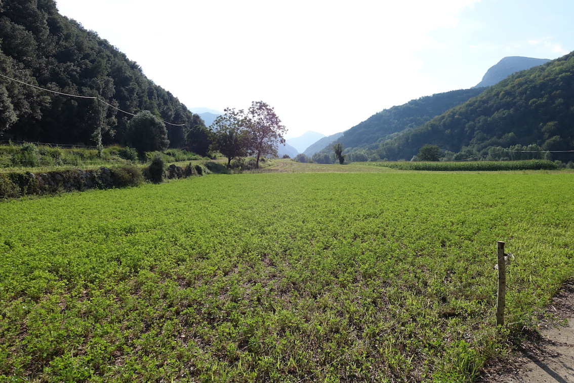 Klicke auf die Grafik für eine vergrößerte Ansicht

Name: 139-GR11-Flachland.jpg
Ansichten: 375
Größe: 417,8 KB
ID: 3036154