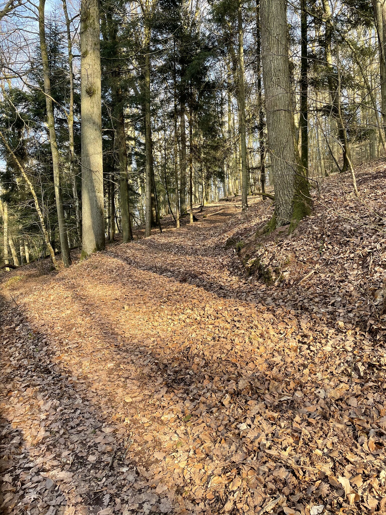 Klicke auf die Grafik für eine vergrößerte Ansicht

Name: 51104396522_11a84c7c29_k.jpg
Ansichten: 301
Größe: 1,88 MB
ID: 3036940