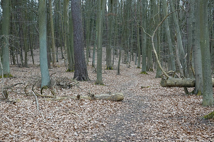 Klicke auf die Grafik für eine vergrößerte Ansicht Name: _SNY3798.JPG Ansichten: 0 Größe: 725,4 KB ID: 3037091
