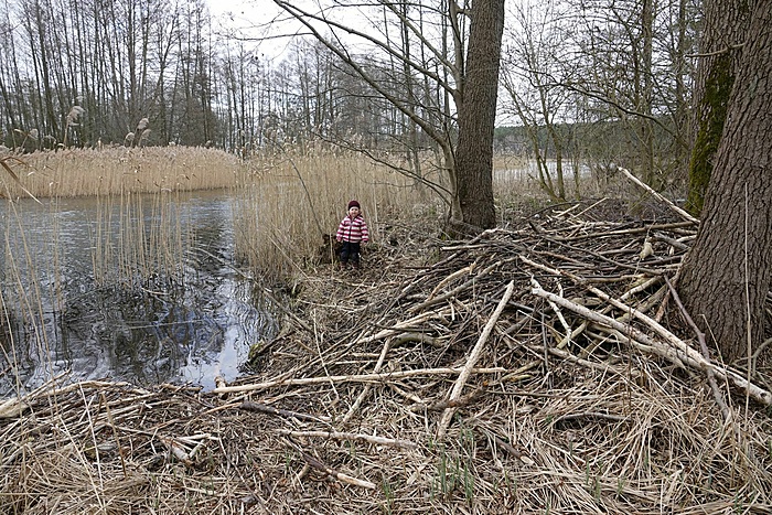 Klicke auf die Grafik für eine vergrößerte Ansicht Name: _SNY3861.JPG Ansichten: 0 Größe: 894,8 KB ID: 3037121