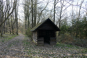 Klicke auf die Grafik für eine vergrößerte Ansicht  Name: 4B79A83A-4B66-4D49-BE88-93F0FA710B80.jpeg Ansichten: 0 Größe: 1,76 MB ID: 3038196