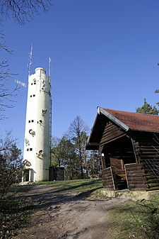 Klicke auf die Grafik für eine vergrößerte Ansicht  Name: 0BD33DB2-0750-4AAA-ACD4-006F3C60EA8F.jpeg Ansichten: 0 Größe: 939,7 KB ID: 3038203