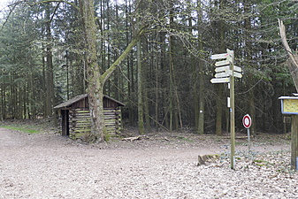Klicke auf die Grafik für eine vergrößerte Ansicht  Name: D7098436-F5CD-4609-BC72-E423946FEC88.jpeg Ansichten: 0 Größe: 1,56 MB ID: 3038210
