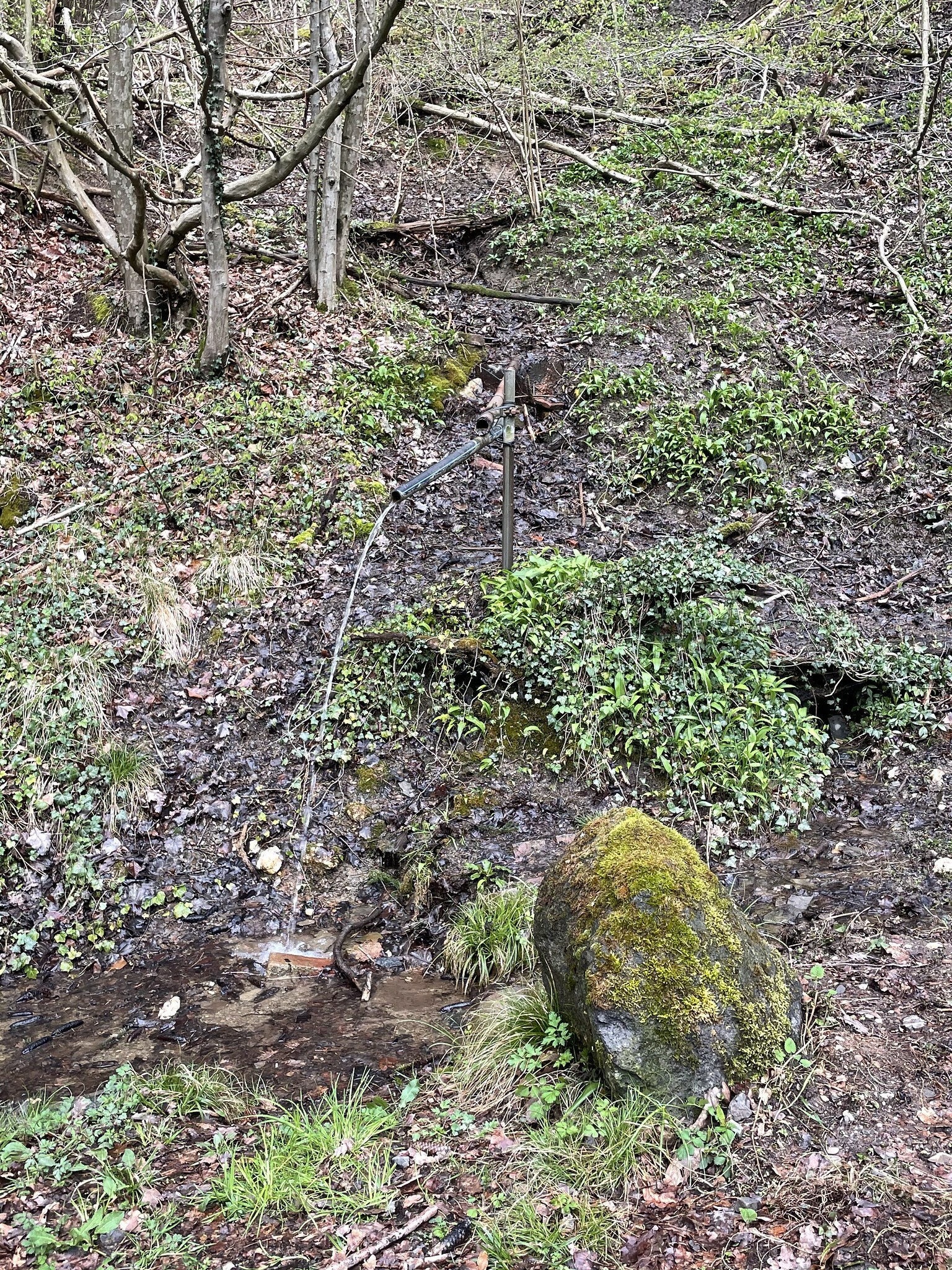 Klicke auf die Grafik für eine vergrößerte Ansicht  Name: 51117386807_5ac32dccef_k.jpg Ansichten: 0 Größe: 1,95 MB ID: 3039486