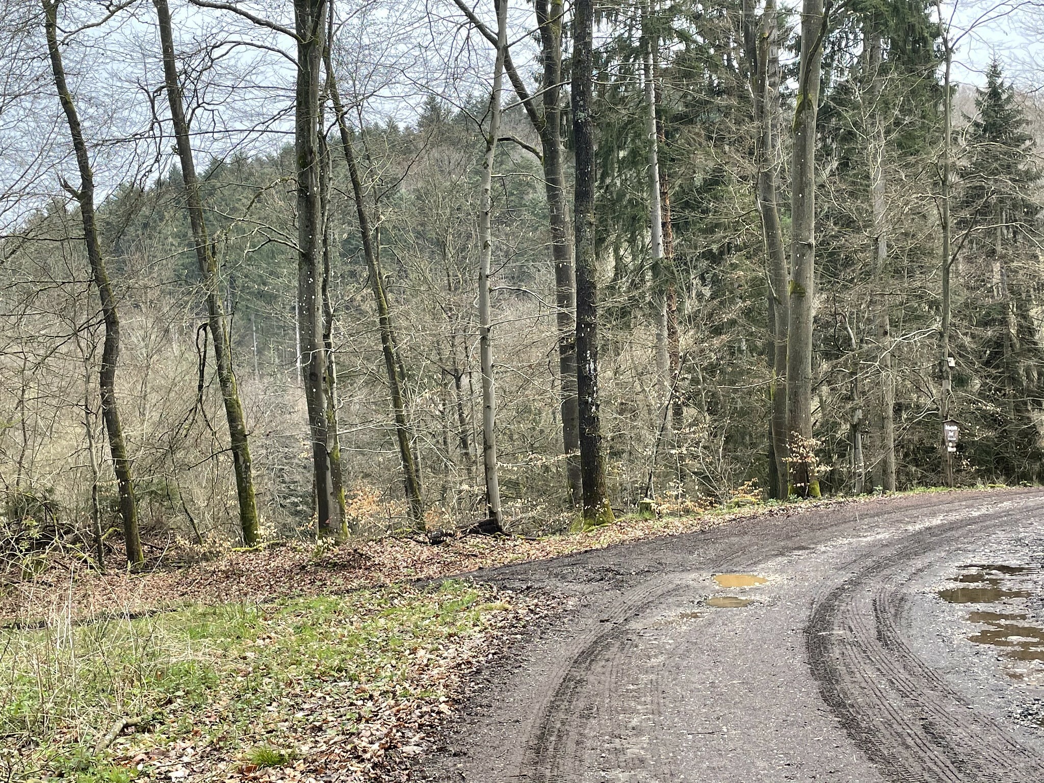 Klicke auf die Grafik für eine vergrößerte Ansicht  Name: 51125294702_eef5a98f3c_k.jpg Ansichten: 0 Größe: 1,58 MB ID: 3039491