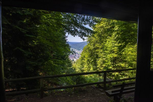 Klicke auf die Grafik für eine vergrößerte Ansicht  Name: 36 Hoppehütte 03.jpg Ansichten: 0 Größe: 52,2 KB ID: 3039570