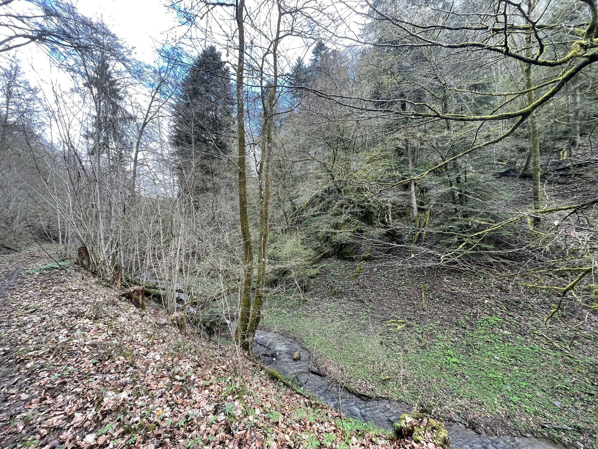 Klicke auf die Grafik für eine vergrößerte Ansicht  Name: 51125884801_db0efa94a7_k.jpg Ansichten: 0 Größe: 1,84 MB ID: 3039678