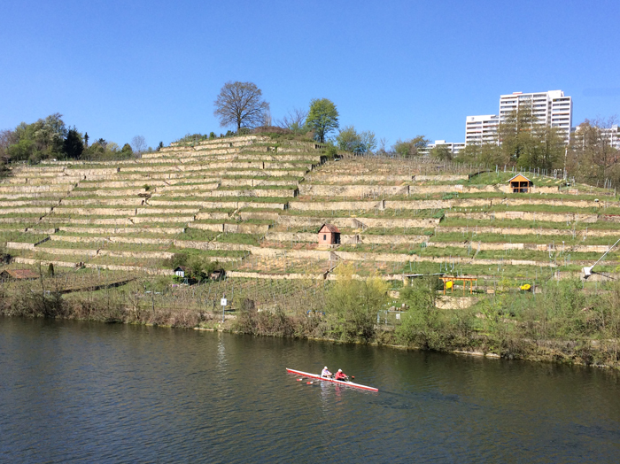 Klicke auf die Grafik für eine vergrößerte Ansicht

Name: Am Neckar.jpg
Ansichten: 457
Größe: 362,6 KB
ID: 3040011