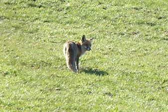 Klicke auf die Grafik für eine vergrößerte Ansicht

Name: P1020190_copy_1600x1068.jpg
Ansichten: 272
Größe: 552,5 KB
ID: 3040786