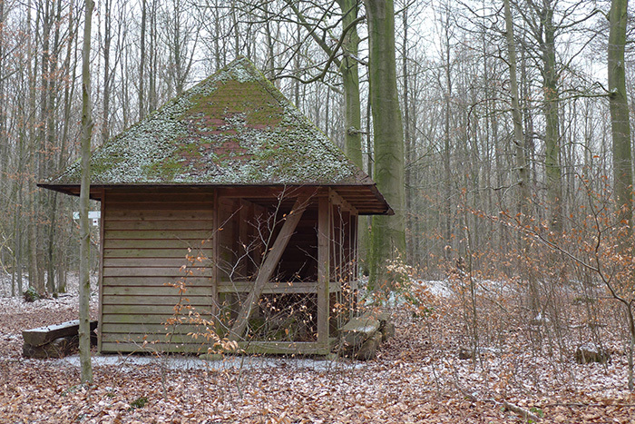 Klicke auf die Grafik für eine vergrößerte Ansicht  Name: Syke_Stadtwald.jpg Ansichten: 0 Größe: 279,8 KB ID: 3041533
