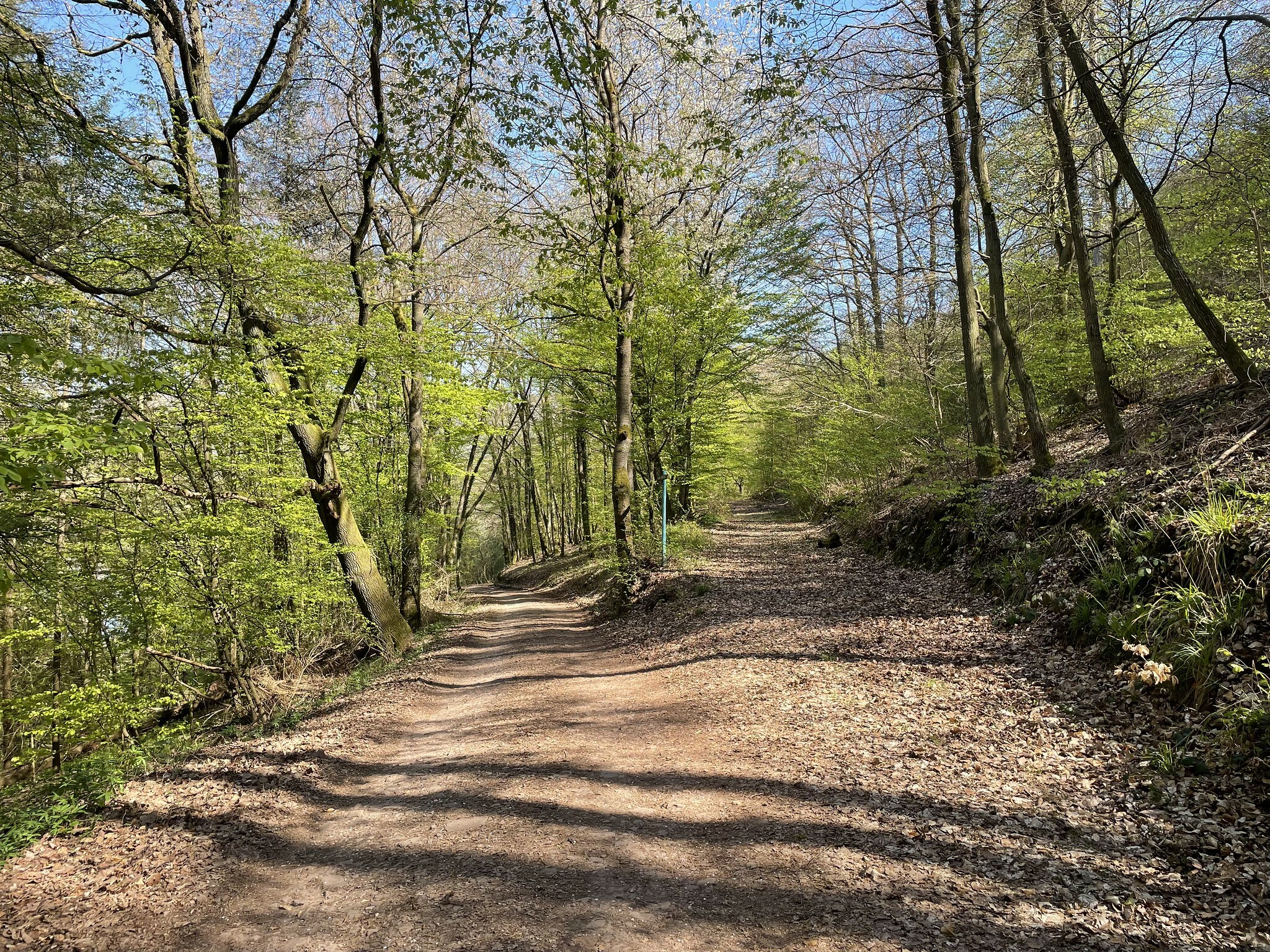 Klicke auf die Grafik für eine vergrößerte Ansicht

Name: 51142750951_b03a7aae39_k.jpg
Ansichten: 189
Größe: 1,94 MB
ID: 3042187