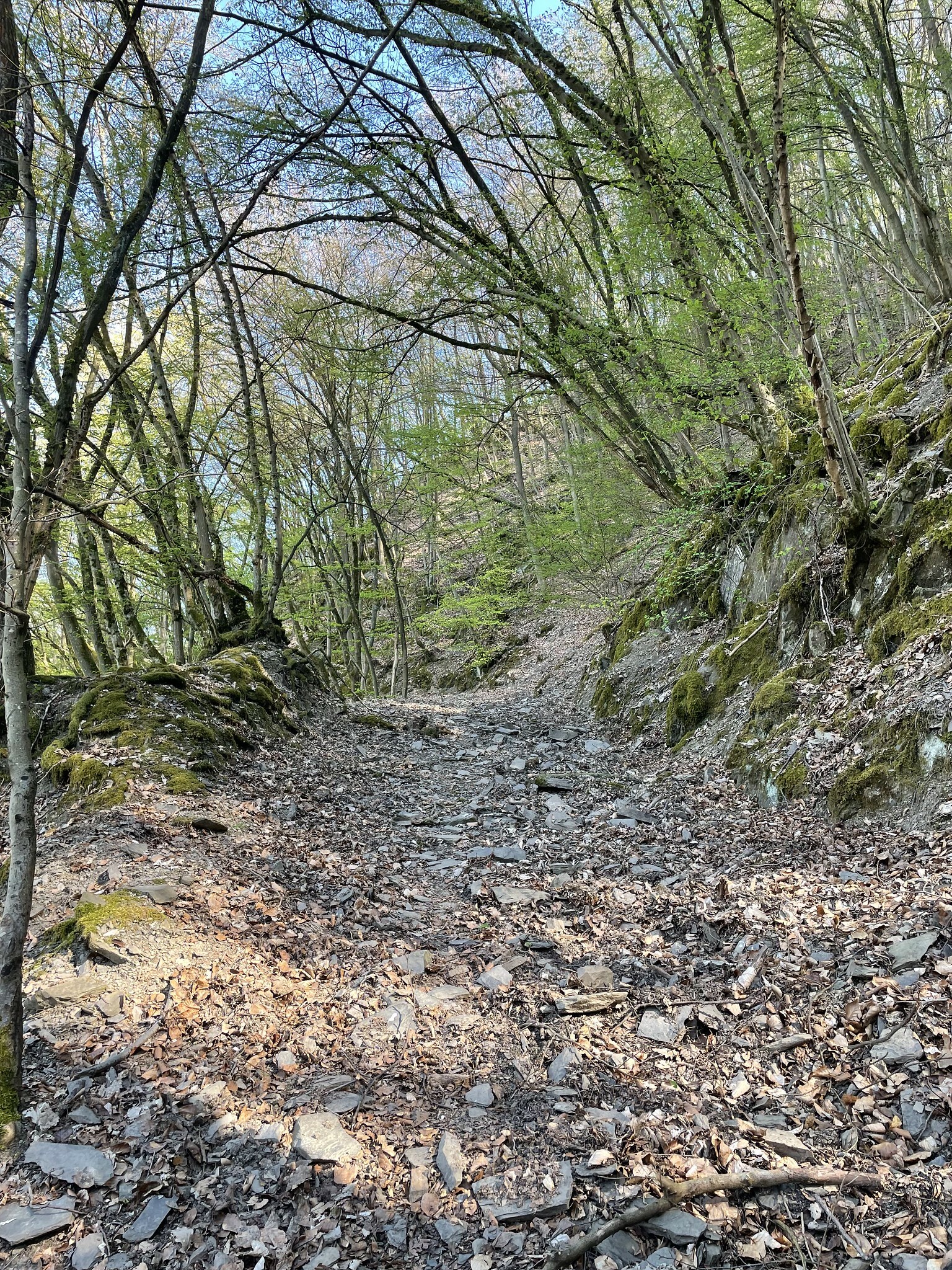 Klicke auf die Grafik für eine vergrößerte Ansicht

Name: 51142964453_3efe4dc2ab_k.jpg
Ansichten: 196
Größe: 1,91 MB
ID: 3042288