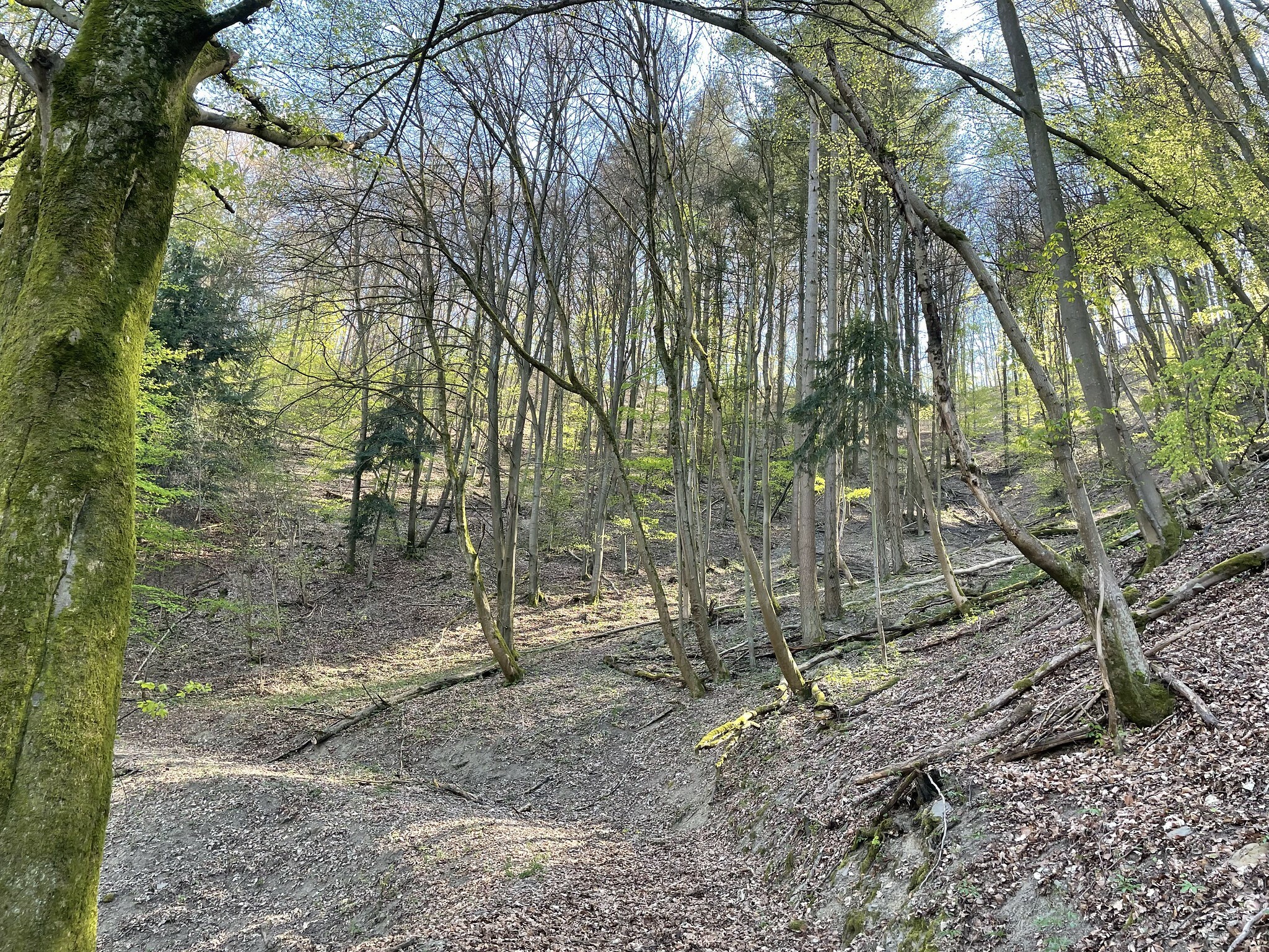 Klicke auf die Grafik für eine vergrößerte Ansicht

Name: 51143854775_02e6aa4a35_k.jpg
Ansichten: 169
Größe: 1,88 MB
ID: 3042289