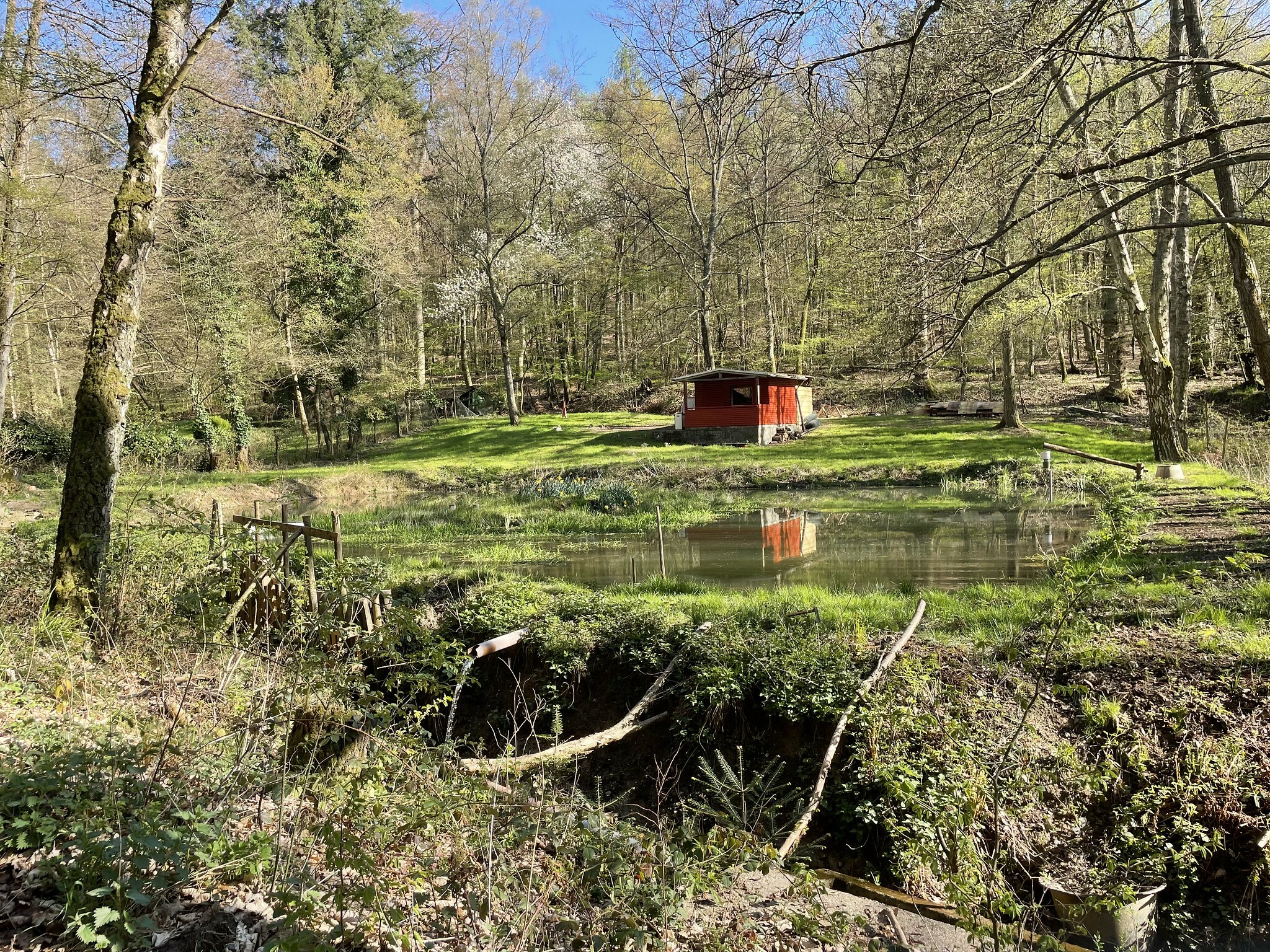 Klicke auf die Grafik für eine vergrößerte Ansicht  Name: 51143529074_3e7fb14d0c_k.jpg Ansichten: 0 Größe: 1,87 MB ID: 3042947
