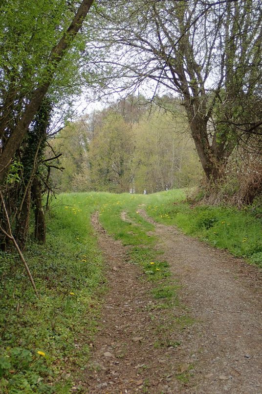 Klicke auf die Grafik für eine vergrößerte Ansicht  Name: Strauchweg OE15.jpg Ansichten: 0 Größe: 159,2 KB ID: 3042976