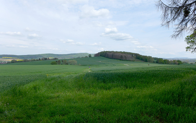 Klicke auf die Grafik für eine vergrößerte Ansicht

Name: Weitblick.jpg
Ansichten: 697
Größe: 165,9 KB
ID: 3045792