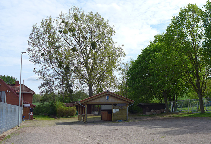 Klicke auf die Grafik für eine vergrößerte Ansicht

Name: SH_Sportplatz_Algesdorf_1.jpg
Ansichten: 256
Größe: 227,0 KB
ID: 3045804