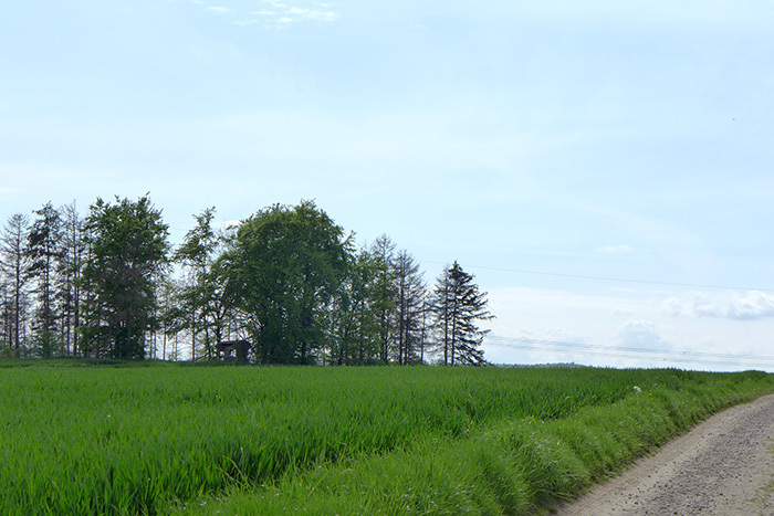 Klicke auf die Grafik für eine vergrößerte Ansicht

Name: SH_Algesdorf_Huegel_1.jpg
Ansichten: 245
Größe: 144,0 KB
ID: 3045807