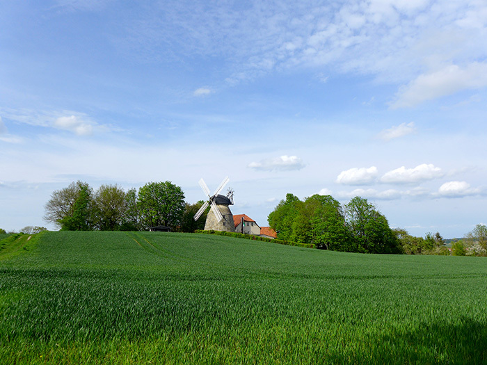 Klicke auf die Grafik für eine vergrößerte Ansicht

Name: SH_Rodenberg_Windmuehle_3.jpg
Ansichten: 222
Größe: 174,6 KB
ID: 3045812