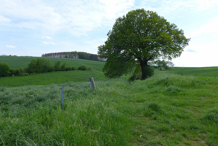 Klicke auf die Grafik für eine vergrößerte Ansicht  Name: Weserbergland_04.jpg Ansichten: 0 Größe: 213,7 KB ID: 3045928