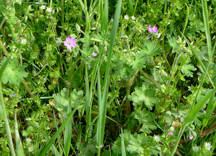 Klicke auf die Grafik für eine vergrößerte Ansicht  Name: Weserbergland_05.jpg Ansichten: 0 Größe: 319,2 KB ID: 3045929