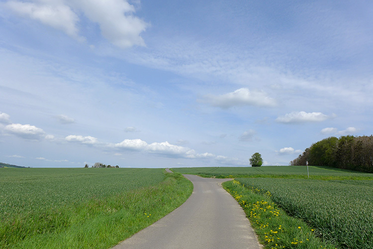 Klicke auf die Grafik für eine vergrößerte Ansicht  Name: Weserbergland_10.jpg Ansichten: 0 Größe: 129,7 KB ID: 3045934