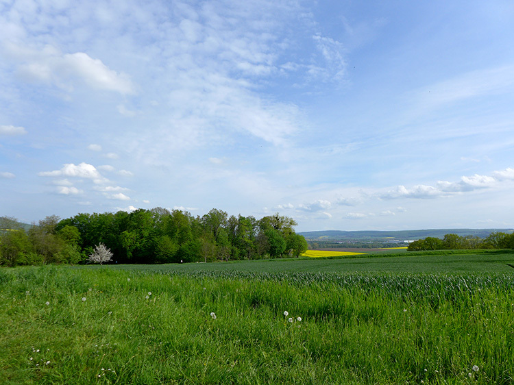 Klicke auf die Grafik für eine vergrößerte Ansicht  Name: Weserbergland_14.jpg Ansichten: 0 Größe: 197,7 KB ID: 3045938