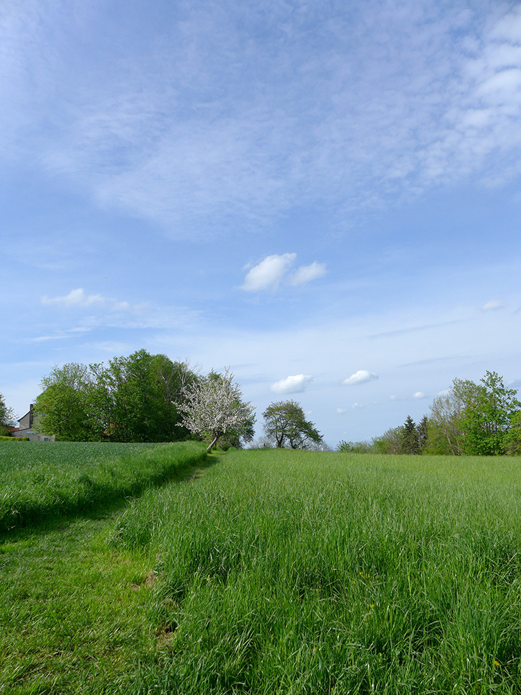 Klicke auf die Grafik für eine vergrößerte Ansicht  Name: Weserbergland_15.jpg Ansichten: 0 Größe: 363,2 KB ID: 3045939